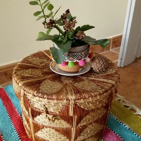 4 Rosa * Портіман