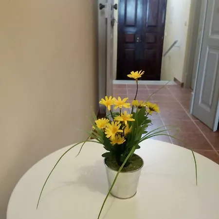 4 Rosa Séjour chez l'habitant Portimão